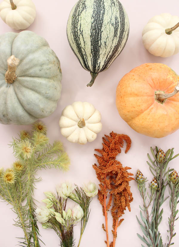 pumpkins ideas diy floral thanksgiving decor