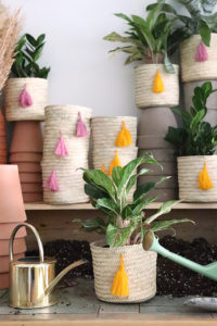 3 Easy Care Houseplants That We Love, baskets with tassels