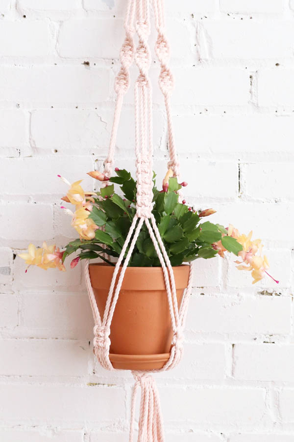 macrame plant hangers available at baba souk