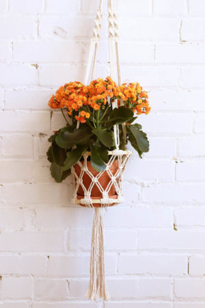 basket plant hanger handmade in Montreal available at baba souk